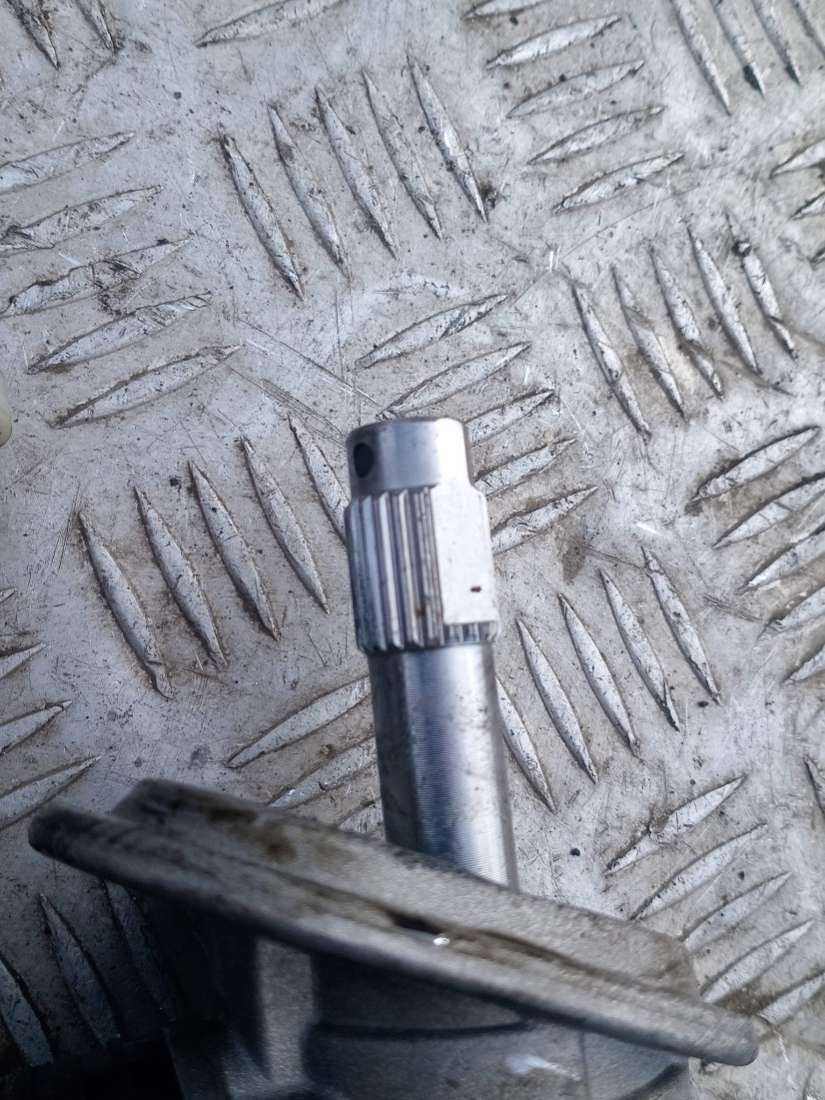 thumb